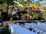 chief's luau chief